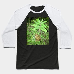 Toad Plants Baseball T-Shirt